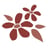 Sand Cherry Logo