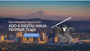 Marketing Technologists