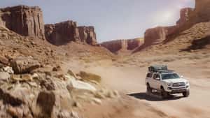 The Atlas Collective