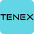 TENEX.AI Logo